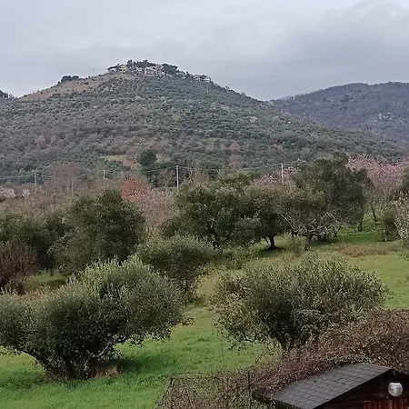 Appartamento Il Posto Delle Rose 2