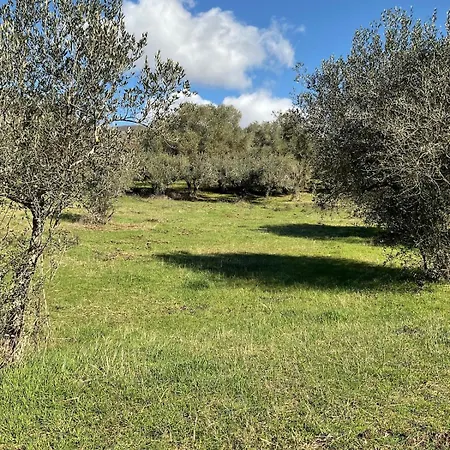 Il Posto Delle Rose 2