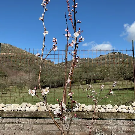 Il Posto Delle Rose 2 * San Polo dei Cavalieri