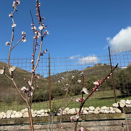 Il Posto Delle Rose 2 * San Polo dei Cavalieri