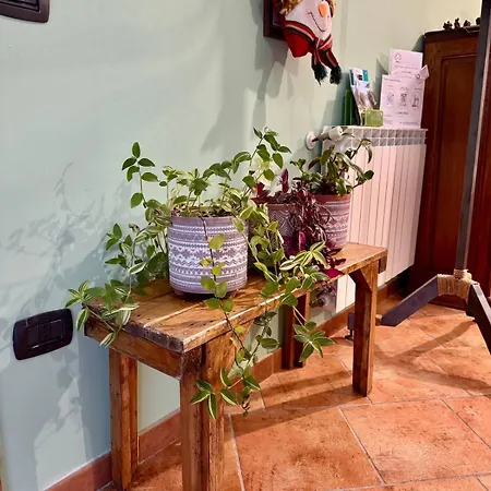 Il Posto Delle Rose 2 Appartamento